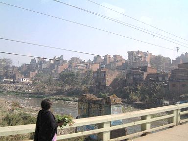 �J�g�}���Y�s���̕��i