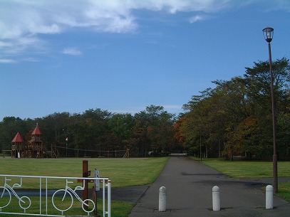 ���΂炵���V�C�ɂȂ�܂����B