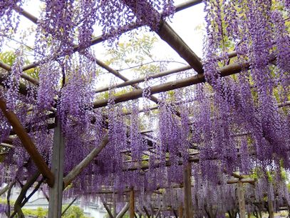 �����ȓ��I